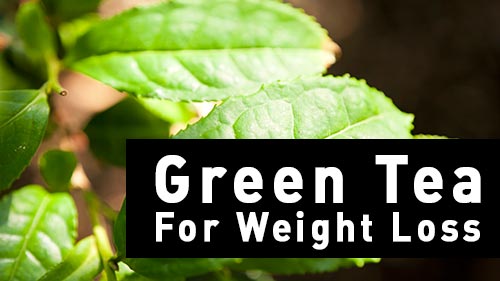 green tea benefits for weight loss