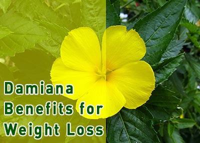 damiana for weight loss