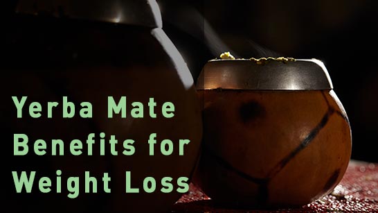 yerba mate tea benefits